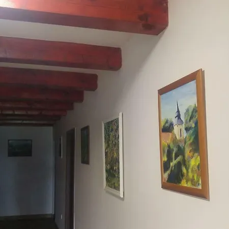 Hunor Panzio Шаторальяуйхей